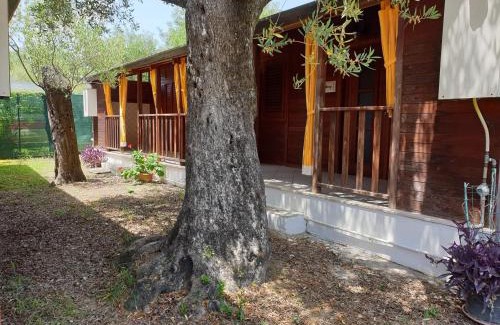 Capitello Apartamento | Summer Paradise