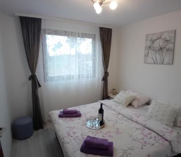 Gornji Milanovac Casa | Sumska vila Zorica