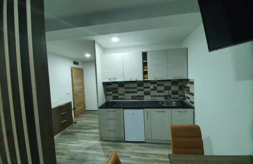 Kopaonik Apartamento | Sunčani breg resort&spa Kopaonik Studio Apartmani