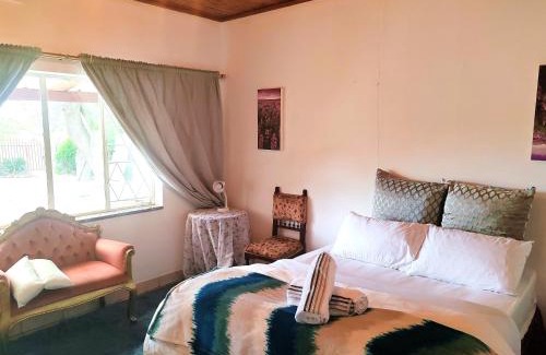 Benoni Casa | Sun and Stars