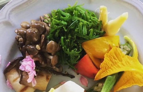 Yuchi Cama Y Desayuno | Sun Moon Lake Secret Garden Villa