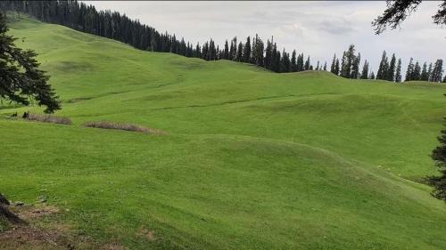 Srinagar Casa | Sun Shine Guest House Baderkote Gulmarg