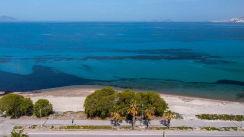 Lambi Apartamento | Sun & Waves Beachfront Suite