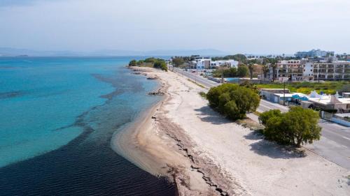 Lambi Apartamento | Sun & Waves Beachfront Suite