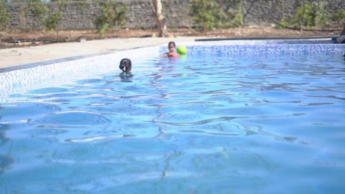 Sasan Gir Complejo | Sundervan Resort