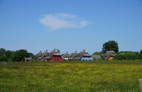 Wieck auf dem Darss Apartamento | Sunflower A Halbinsel Fischland Darß