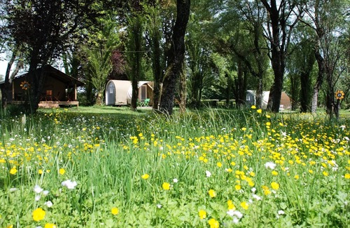 Le Grez Casa | Sunflowers Campsite *** - Lodge Coco-Sweet 3 Rooms 2/4 People Without Sanitary