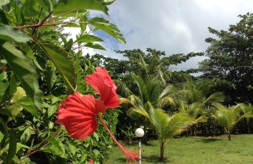 Corn Island Casa | Sunhill Villa