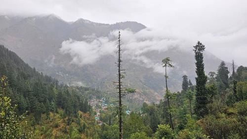 Manali Casa | Sunils Cabin 5BHK Glass View Villa Manali