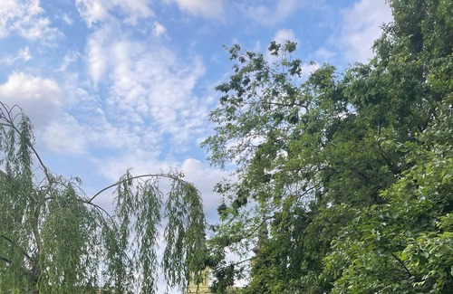 Szentimrevaros Apartamento | Sunny and Calm Apartment Central Buda