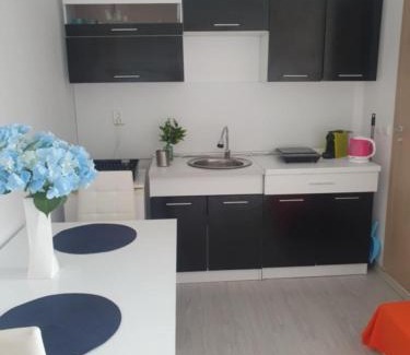 Tankovo Apartamento | Sunny Day 6