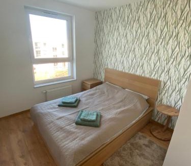 Koszalin Apartamento | Sunny Franciszkanska 4 osob Nowy apartment 2 min z S6