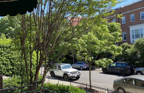 Adams Morgan Apartamento | Sunny Furnished 1 Bedroom Apt in Adams Morgan