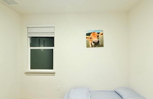 McNeil Casa | Sunny House