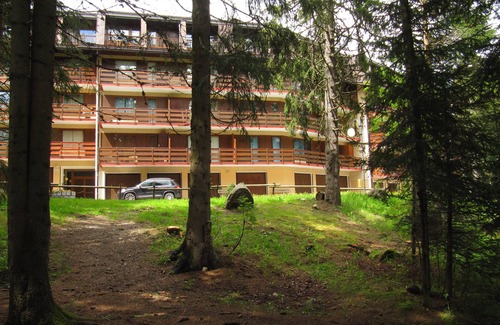 Campo Carlo Magno Apartamento | ¡Pendientes a 100 metros! Estudio - Madonna di Campiglio-fraz. Campo Carlo Magn