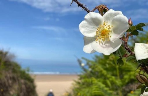 Hele Casa | Sunny Nook, Pretty 1 bed modern cottage close to Woolacombe