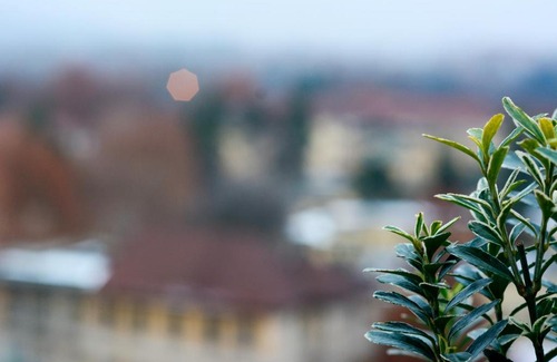 Santa Rita Apartamento | SUNNY SIDE I Turin Suite