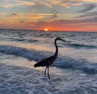 Holmes Beach Apartamento | Sunset Connection - Gulf Place