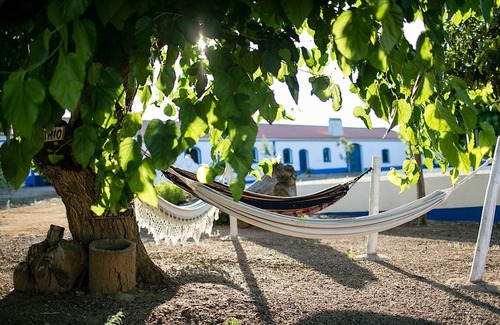 Sousel Casa | Sunset Yellow Villa, Wifi, Terraza, Piscina