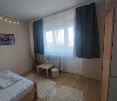 Pancevo Apartamento | Sunshine apartment