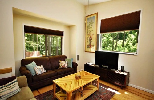 Weaverville Cabaña | Sunshine Daydream Cottage-Natural Setting in Town