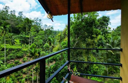Kotapola Hotel | Sunshine Forest Lodge - Sinharaja
