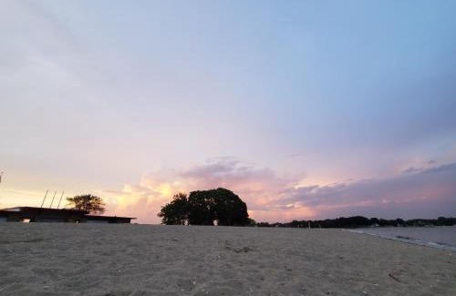 Cove - East Side - Shippan Apartamento | Sunshine Room by harbor downtown beach I-95&Train