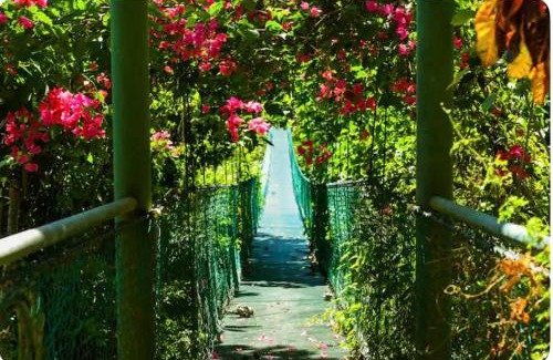 Montezuma Cabina | Sunshine Sanctuary Boutique Jungle Lodge