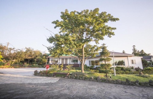 Jocheon Casa | Sunyang Village Dome Caravan
