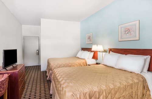 Knoxville Hotel | Super 8 by Wyndham Knoxville Downtown Area