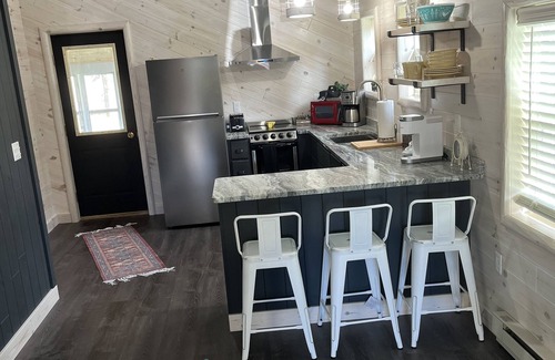 Mio Cabina | Super clean cabin near ORV trails & AuSable River, walking distance to town Mio.