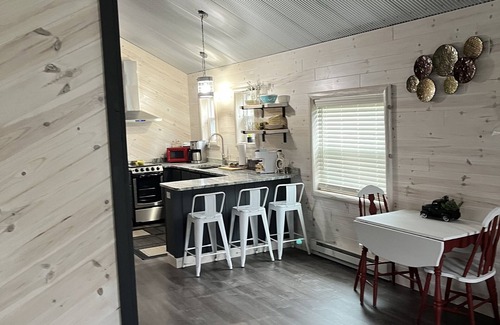Mio Cabina | Super clean cabin near ORV trails & AuSable River, walking distance to town Mio.