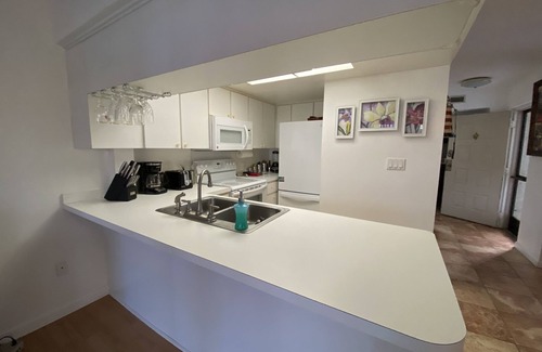 Palm Harbor Condominio | Super condominio en el lago Tarpon, muelle. 1er piso