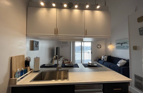 Oak Harbor Condominio | Super nice, waterfront Lake Erie getaway with boat dock - Green Cove Resort!