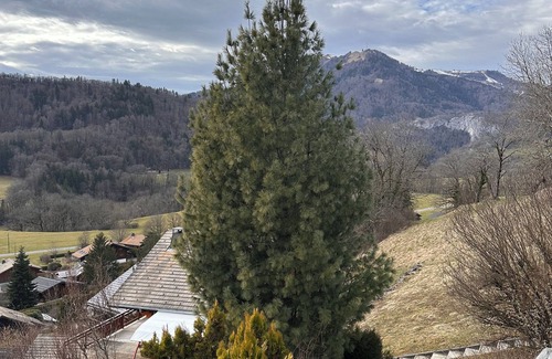 Mieussy Chalet De Esquí | Superb chalet with fireplace and breathtaking view of the hamlet