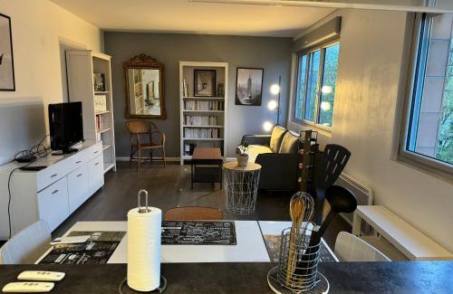 Combat Apartamento | Superbe appartement Paris Centre - Buttes Chaumont