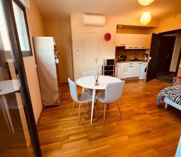 Le Ricanto Apartamento | SUPERBE STUDIO AVEC PLACE DE PARKING