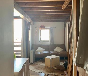Manigod Apartamento | Superbe studio pied des pistes- linge de maison non fourni