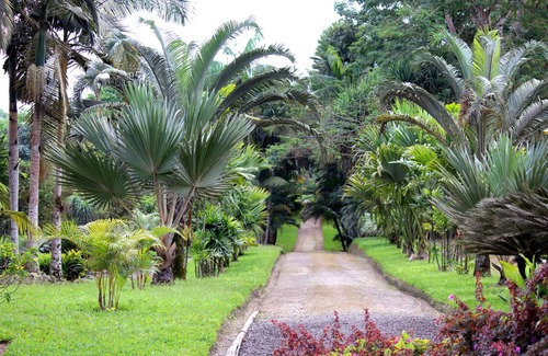 Corales del Sur Apartamento | Superior Studio Free Wi-fi Centrally Located Corales Del Sur 15 Km From Airport