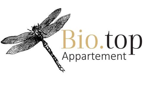Rasun di Sotto Apartamento | Supperior Appartement