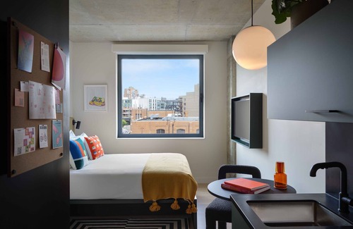 Williamsburg Hotel | Supreme Queen Room at Penny Williamsburg, Pet-friendly Property