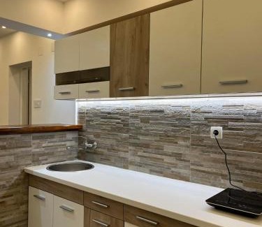 Surcin Apartamento | Surčin Centar apartment