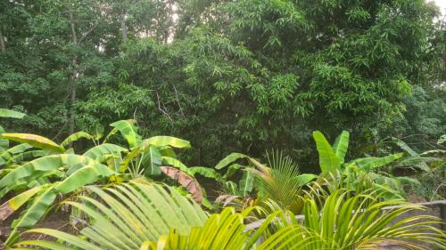 Chirayinkil Casa | Surabhi-Nature Villa , Private floor AC