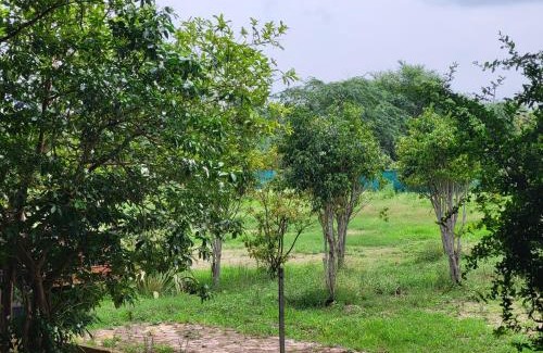 Ujjain Hotel | Suraj Village Resort