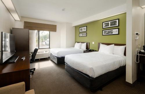 Summerville Hotel | SureStay by Best Western Summerville Flowertown