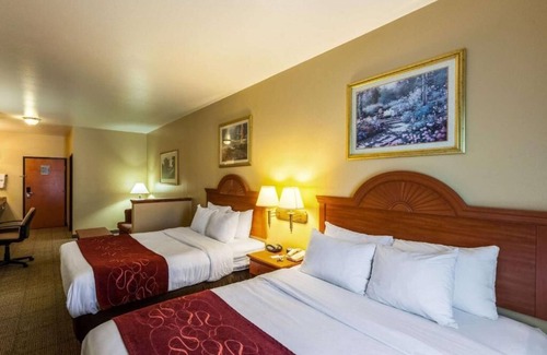 Mesquite Hotel | SureStay Plus Hotel by Best Western Mesquite