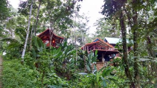 Bocas del Toro Cama Y Desayuno | Surf Break at Paunch