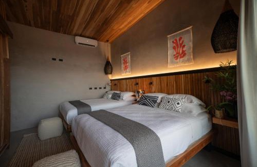 Jacó Cabina | Surf Synergy All-Inclusive Surf and Wellness Retreat