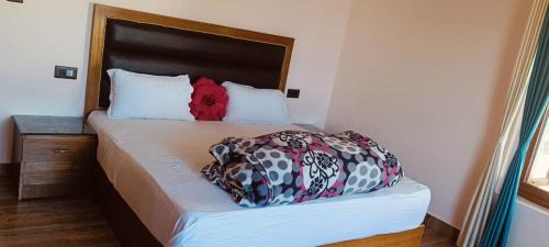 Almora Casa | surya palace home stay