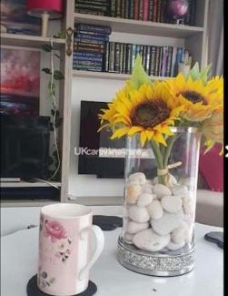 Rhyd-y-clafdy Apartamento | Susie's Beautiful Caravan near the sea
